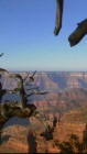 Grand Canyon uitzichtspunt