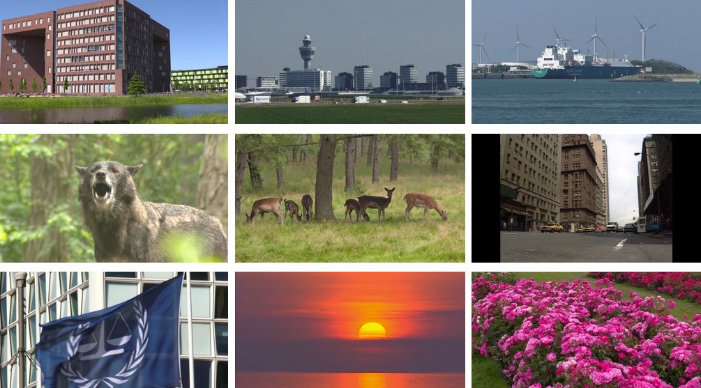 Stock Shot maakt in deze site geen gebruik van cookies en verzamelt geen persoonsgegevens.